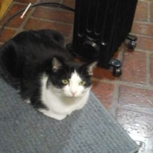 Meet your Posher, Joseph f